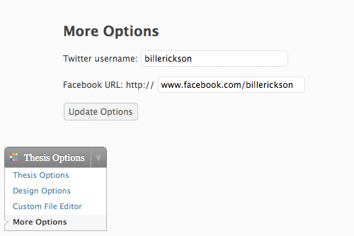 Post image for Thesis Tip #9 – Custom Options Page