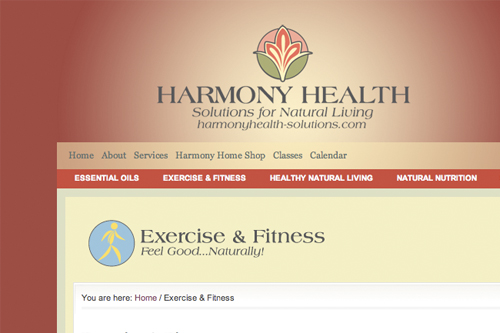 Post image for Thesis Tip #12 – Adding Custom Headers to Category Pages