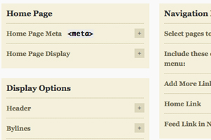 thesis-options-thumb